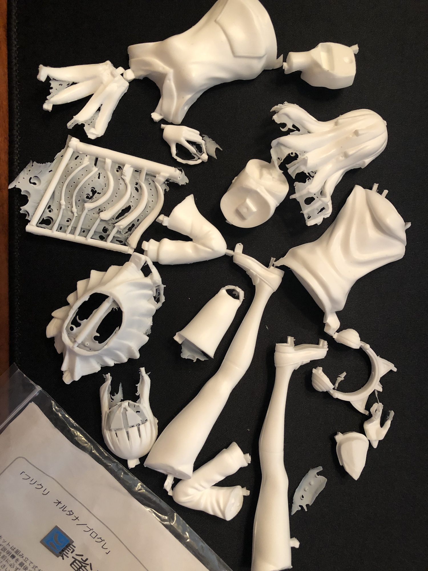How to Turn a Pile of Trash into a Real Heroine—or Even Two! [GK] - garage-kit photo 6